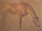 Study of a Horse (mk46) Sir Edwin Landseer